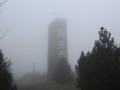 IMG_8920