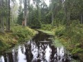 IMG_3136