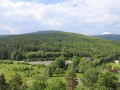 IMG_0318